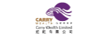Carry Wealth Holdings Limited