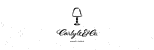 Carlyle & Co.