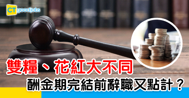 【薪酬福利丨2024更新】雙糧、花紅大不同 酬金期完結前辭職又點計？未夠一年出幾多？幾時出Bonus？