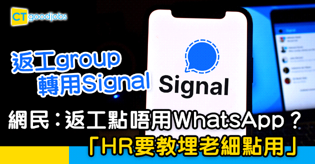 【職場人際】返工group轉用Signal  網民︰HR要教埋老細點用
