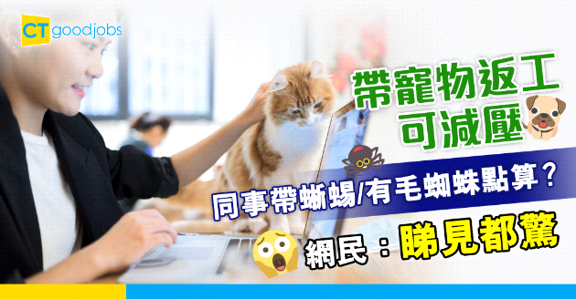 【網絡熱話】同事帶蜥蜴、有毛蜘蛛返工 網民：睇到字都覺得驚