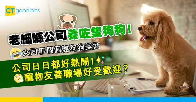 【職場熱話】老細喺公司養咗隻狗狗 全公司女同事變晒契媽！寵物友善職場真係咁好？