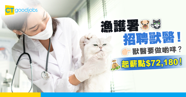 【政府工空缺2024】漁農自然護理署招聘獸醫！月薪$72,180起！