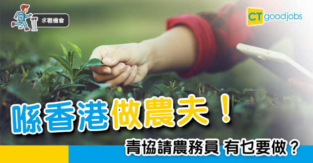 【求職機會】香港都可以農夫！青協請農務員 究竟有咩做？ 