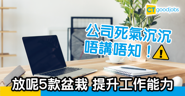 【職場環境】5款盆栽助辦公室回復生氣 提升工作能力 