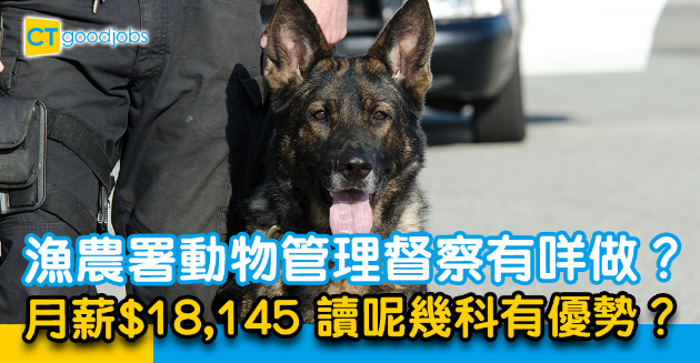 【政府工略】做漁農署動物管理督察有咩做？月薪$18,145 