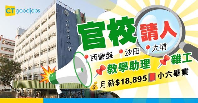 【官校職位空缺】般咸道/沙田官立小學/新界鄉議局大埔區中學聘請教學助理/雜工 (內附入職詳情+申請方法)