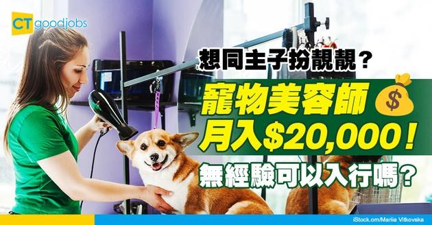 【寵物美容師入行2025】平均月薪$20,000 無經驗請唔請？4大證書獲取資格全攻略