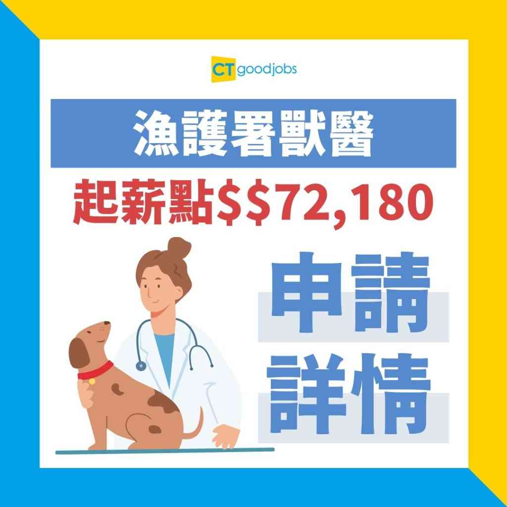 政府工空缺2024】衞生署請牙齒衞生員同牙醫有咩唔同？月薪最高達$41,400！