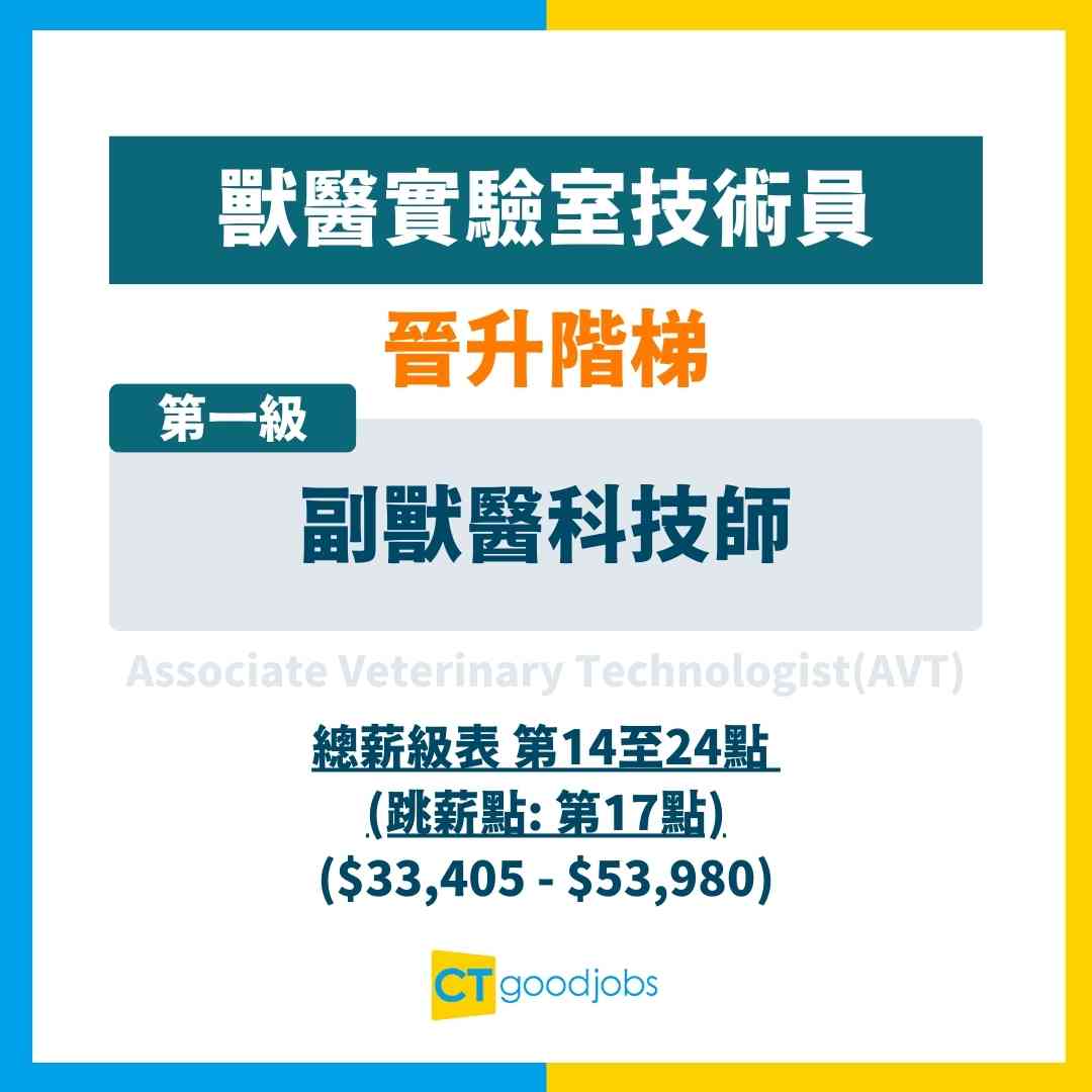 政府工空缺2025】漁農署招聘副獸醫科技師月薪$32,430至$52,410 呢份工有咩做？(內附入職條件、職責及申請方法)