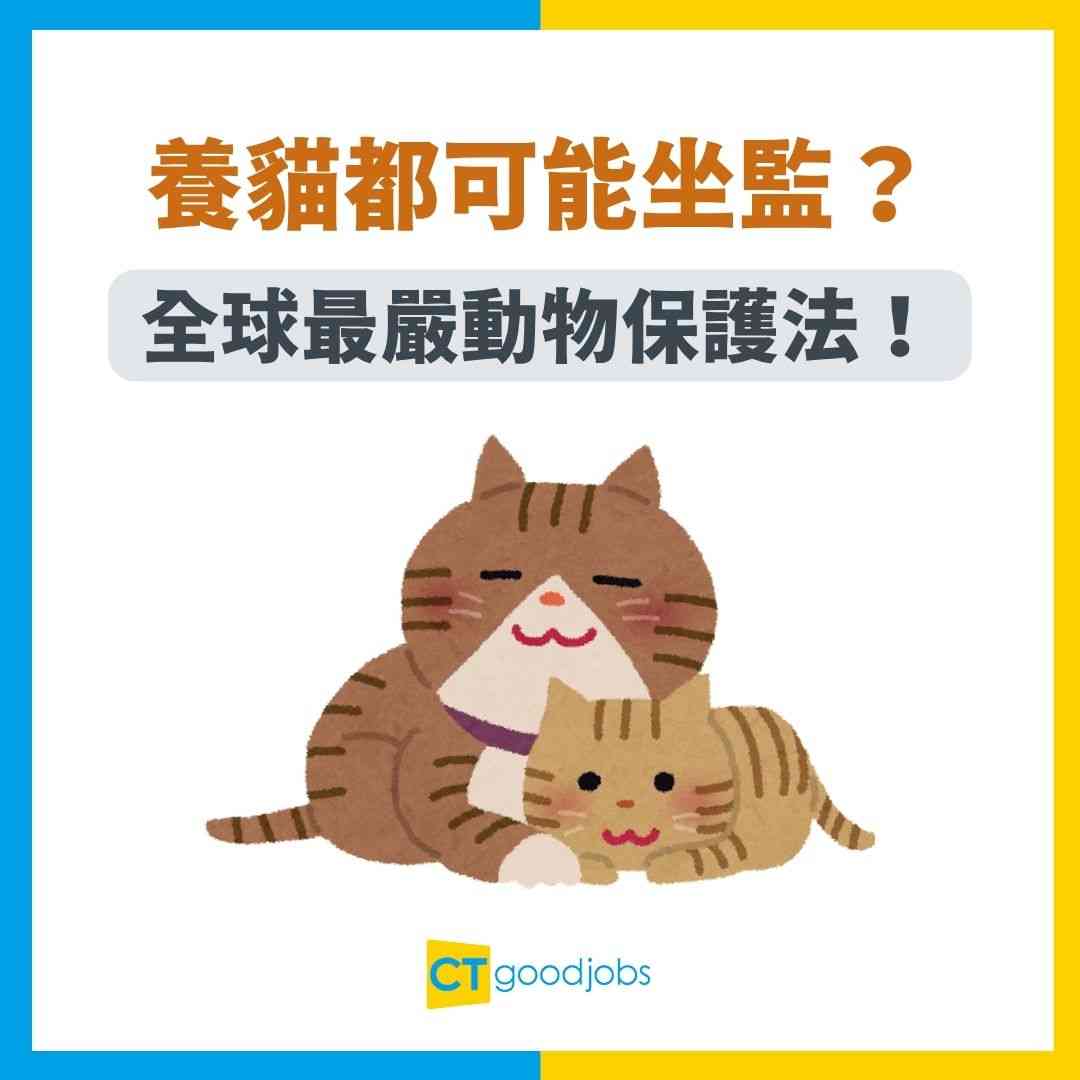 瑞士動物法】養貓都可能坐監？全球最嚴動物保護法專屬律師幫寵物打官司！